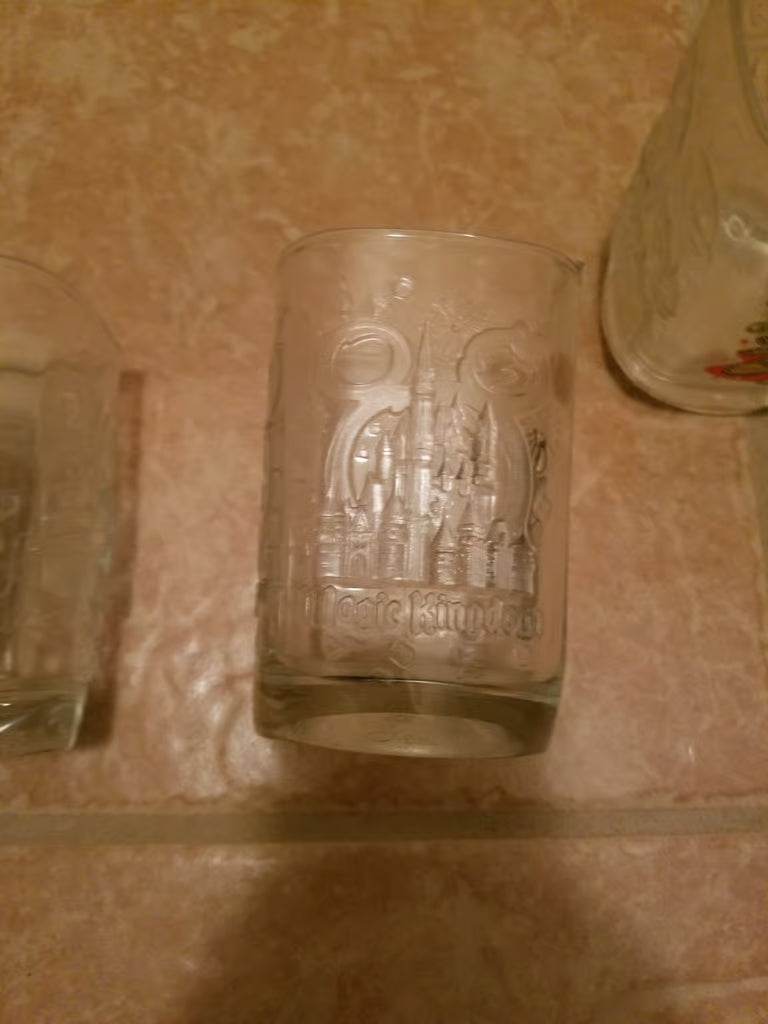 Disney Park Glasses