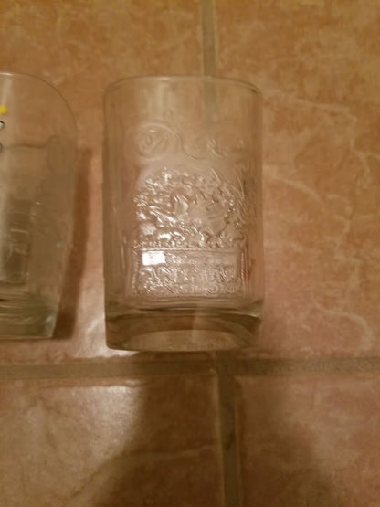 Disney Park Glasses