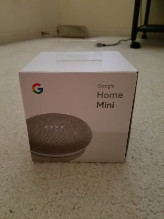 Google Home Mini Chalk