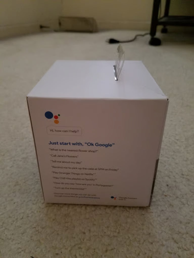 Google Home Mini Chalk