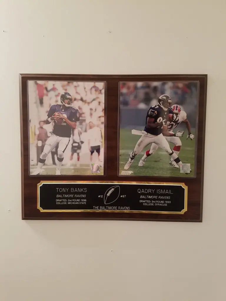 Baltimore ravens photo