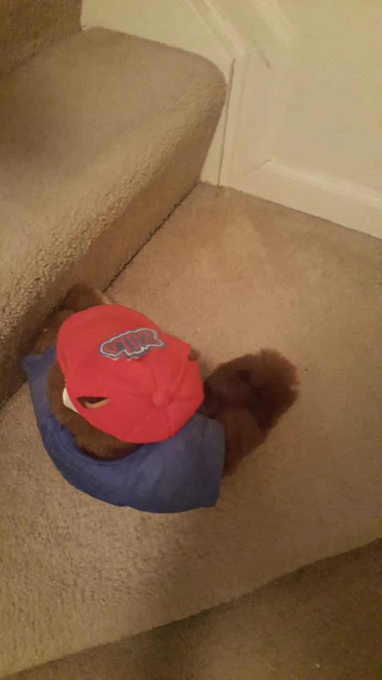 Buffalo Bills teddy bear