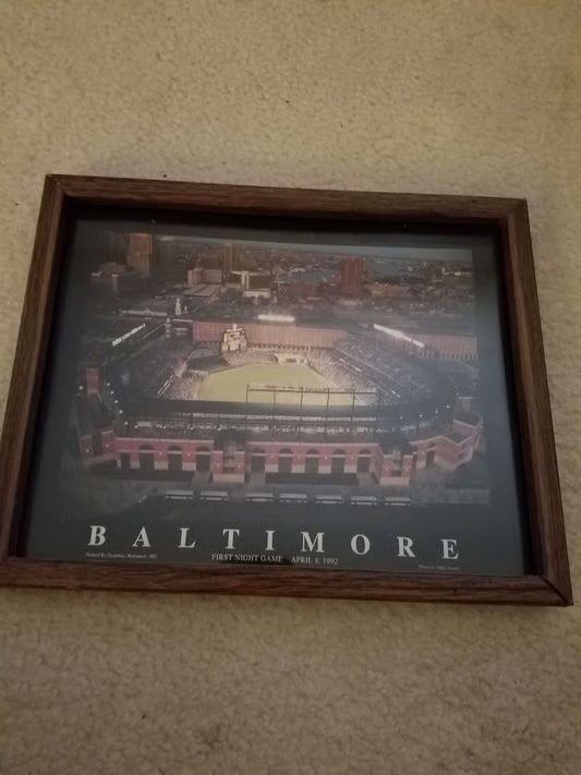 Camden Yards Photo