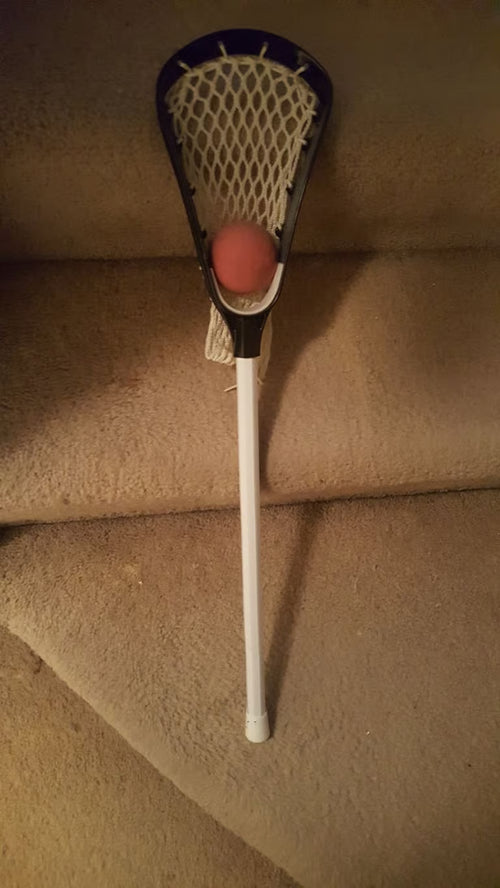 Mini Lacrosse Stick
